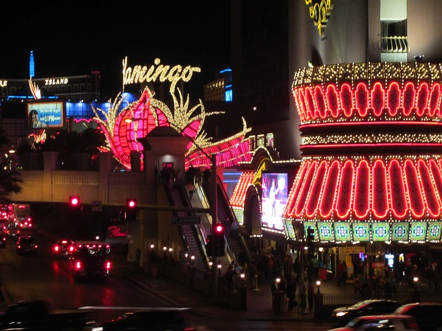 Casino Licensing